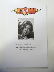 Witchblade #85 Jay Company Cover (2005) VF Condition