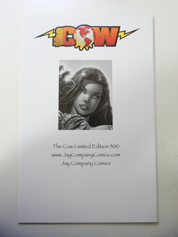 Witchblade #85 Jay Company Cover (2005) VF Condition