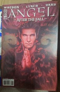 Hundred Penny Press: Angel After the Fall (2011)