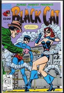 The Original Black Cat #7 (1991) Black Cat