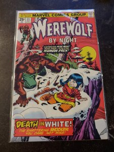 WEREWOLF BY NIGHT #31 F+ MARVEL CLASSIC