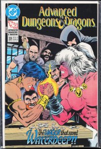 Advanced Dungeons & Dragons #33 (1991)
