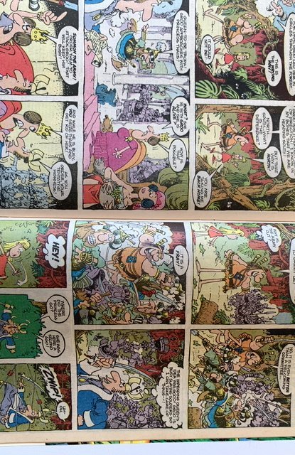 Sergio AragonÃƒÂ©s Groo the Wanderer #80 (1991)