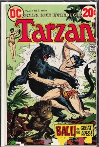 Edgar Rice Burroughs' Tarzan #213 (1972)