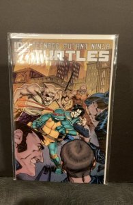 Teenage Mutant Ninja Turtles #4 (2011)