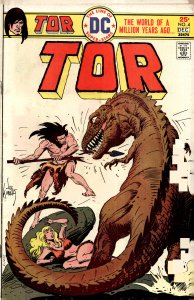 Tor #4 (1975) Tor