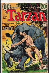 Edgar Rice Burroughs' Tarzan #212 (1972)