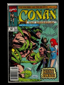 Conan the Barbarian #231,232,233,234,235,236,237,243,244,245 (1990)