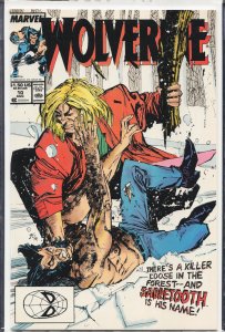 Wolverine #10 (1989) Wolverine