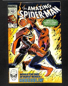 The Amazing Spider-Man #250 (1984)