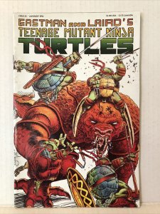 Teenage Mutant Ninja Turtles #43