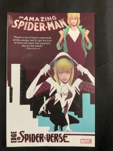 Amazing Spider-Man: Edge of Spider-Verse VF (2015)