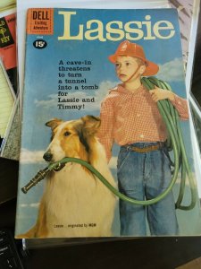 Lassie #53