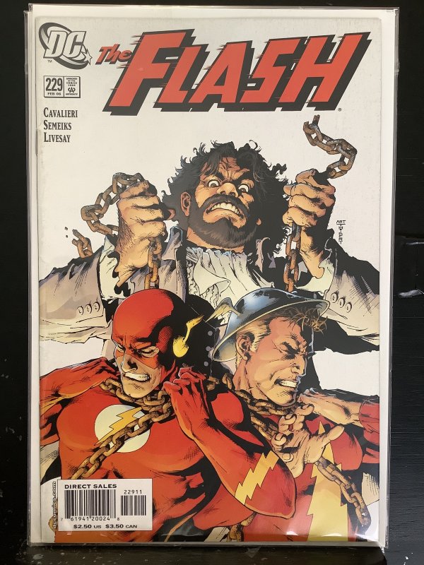 The Flash #229 (2006)