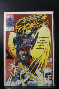 Ghost Rider/Blaze: Spirits of Vengeance #8 Direct Edition (1993)