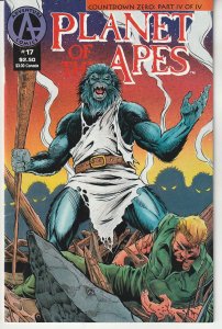 Planet of the Apes #17 (1991)