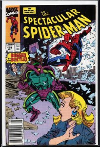 The Spectacular Spider-Man #164 (1990) Spider-Man