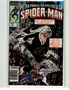 The Spectacular Spider-Man #90 (1984) Spider-Man