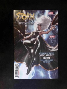 Storm Lifedream #1  Marvel  Comics 2025 NM+