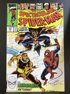 The Spectacular Spider-Man #161 (1990)