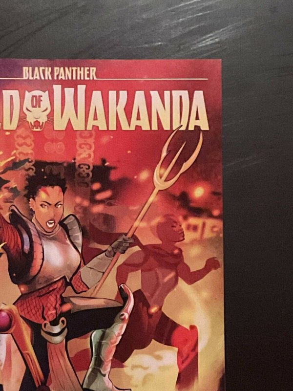 Black Panther World of Wakanda #5A (2017 Marvel) Richardson 