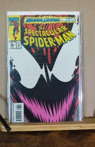 The Spectacular Spider-Man #203 (1993)