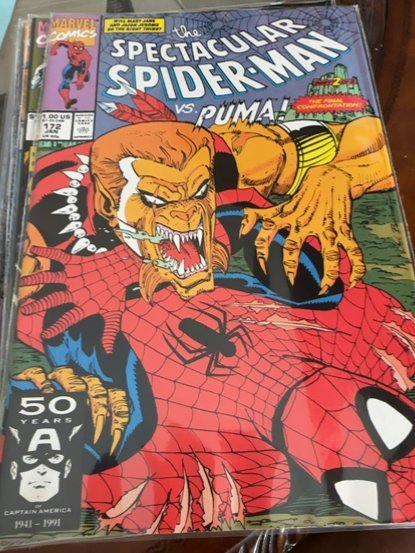 The Spectacular Spider-Man #172 (1991) Spider-Man 