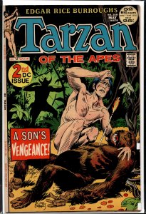 Edgar Rice Burroughs' Tarzan #208 (1972)