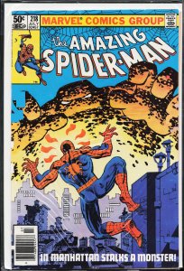 The Amazing Spider-Man #218 (1981) Spider-Man