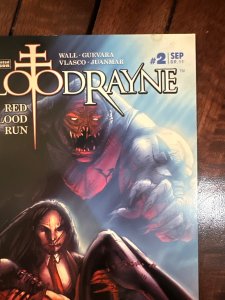 BloodRayne: Red Blood Run #2 (2007)