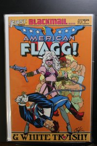 American Flagg! #22 (1985)