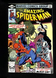 Amazing Spider-Man #204 Black Cat!