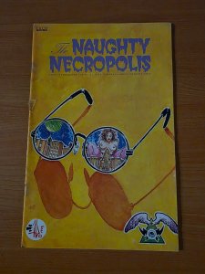 The Naughty Necropolis #1 ~ FINE FN ~ 1995 Eros Comics