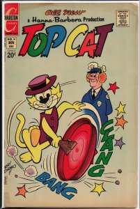 Top Cat #14 (1972) Top Cat