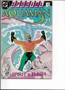 Aquaman Special Direct Edition (1988)