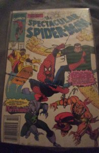 The Spectacular Spider-Man #169 (1990) Spider-Man 