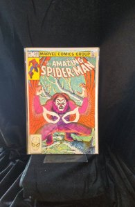 The Amazing Spider-Man #241 Direct Edition (1983) Spider-Man 