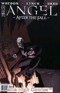 ANGEL: AFTER THE FALL (IDW) (2007 Series) #7 B Very Good Comics Book
