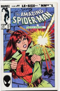 The Amazing Spider-Man Annual #19 (1985) Spider-Man [Key Issue]