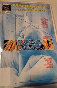 The Terminator: The Burning Earth #1 Direct Edition (1990) The Terminator