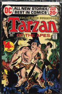 Edgar Rice Burroughs' Tarzan #210 (1972)