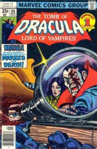 Tomb of Dracula (1972 series)  #66, VF- (Stock photo)