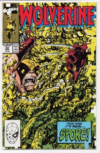 Wolverine #22 (1990) Wolverine