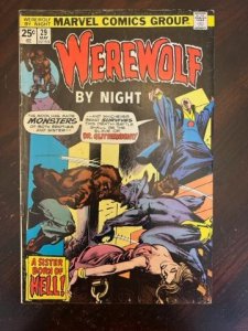 Werewolf by Night #29 (1975) - VF-