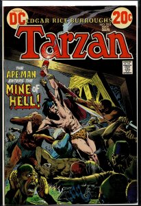 Edgar Rice Burroughs' Tarzan #215 (1972)
