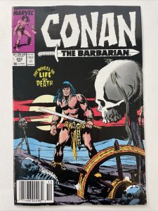 Conan The Barbarian 223