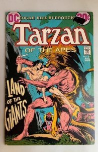 Edgar Rice Burroughs' Tarzan #211 (1972)