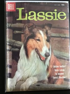 Lassie #40