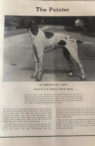 Popular Dogs Magazine, Nov.1950
