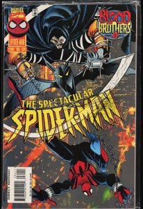 The Spectacular Spider-Man #234 (1996) Spider-Man